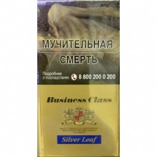 Business Class compact Silver Leaf